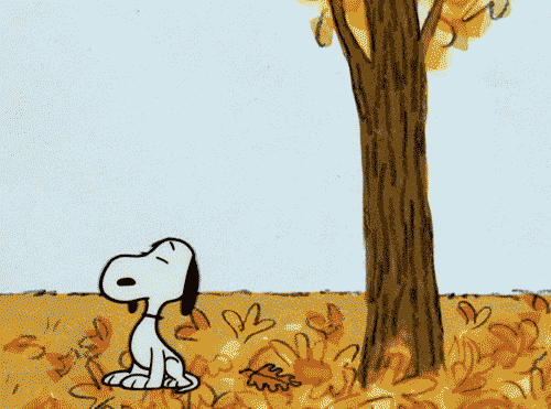 Snoopy Fall 🍂
